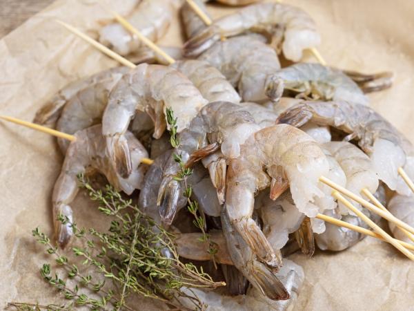 Shrimps-img